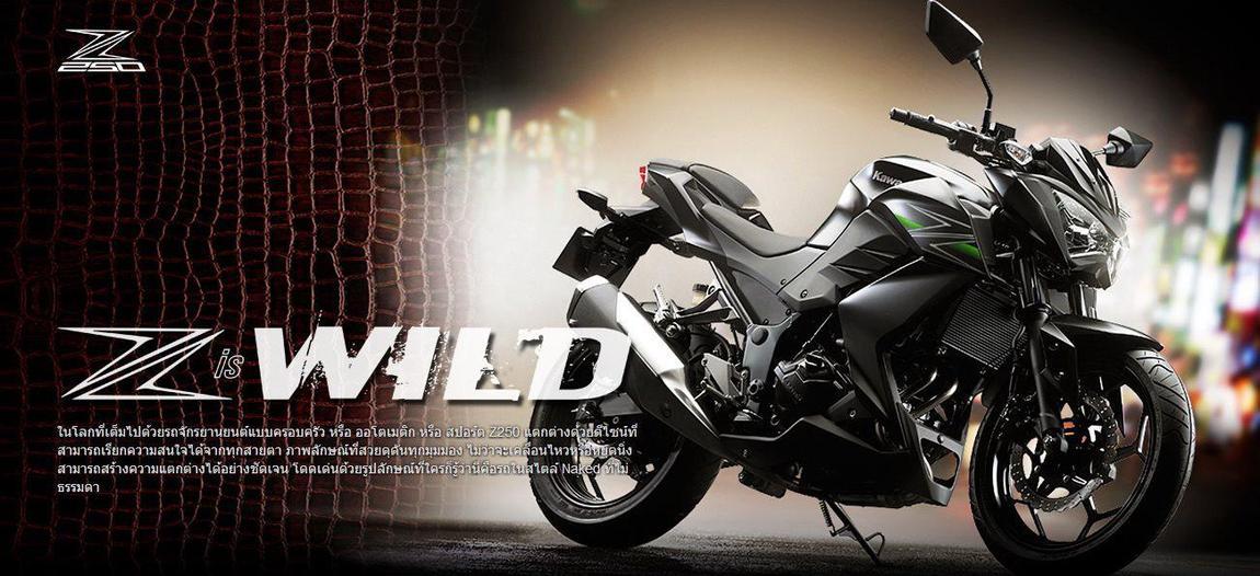 Z250WildPromo.jpg