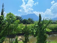 The WES mountainview.jpg