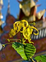 IMG_20250902_161747.jpg