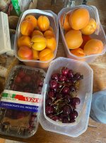 IMG_8854.jpeg