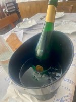 IMG_9648.jpeg