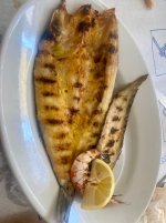 IMG_9652.jpeg