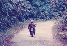 Nov95-LNT-MSing-_3.jpg