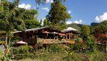 north-thailand-2009-21-thumb.jpg