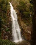 north-thailand-2009-43-thumb.jpg