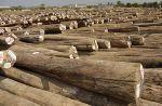 north-thailand-2009-52-thumb.jpg