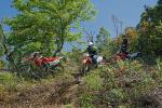 doi-mae-salong-dirt-road-1-small.jpg