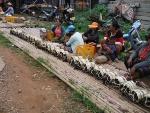 Motorcycle%20Laos%20Vietnam%20%201.jpg