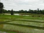 Laos%20Motorcycle%20Savannakhet%201.jpg