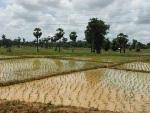 Laos%20Motorcycle%20Savannakhet%208.jpg