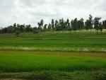 Laos%20Motorcycle%20Savannakhet%2031.jpg